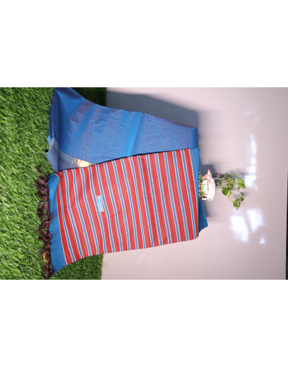 Celestial Blue and Blush Stripe Saree