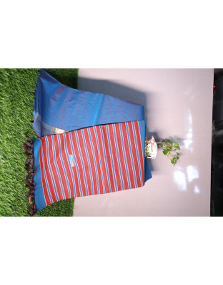 Celestial Blue and Blush Stripe Saree