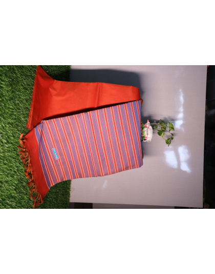 Tangerine Stripe Kanjeewaram Silk Saree