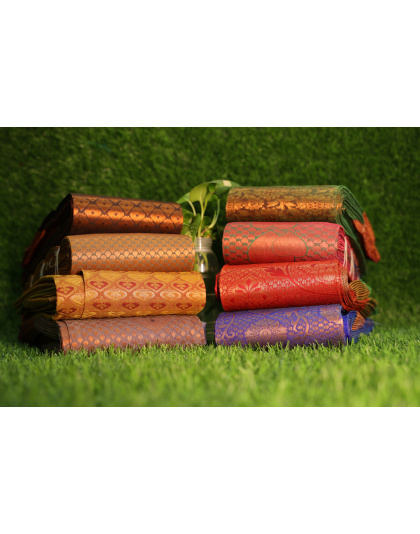 Kanchipuram Cotton Saree - varient 2